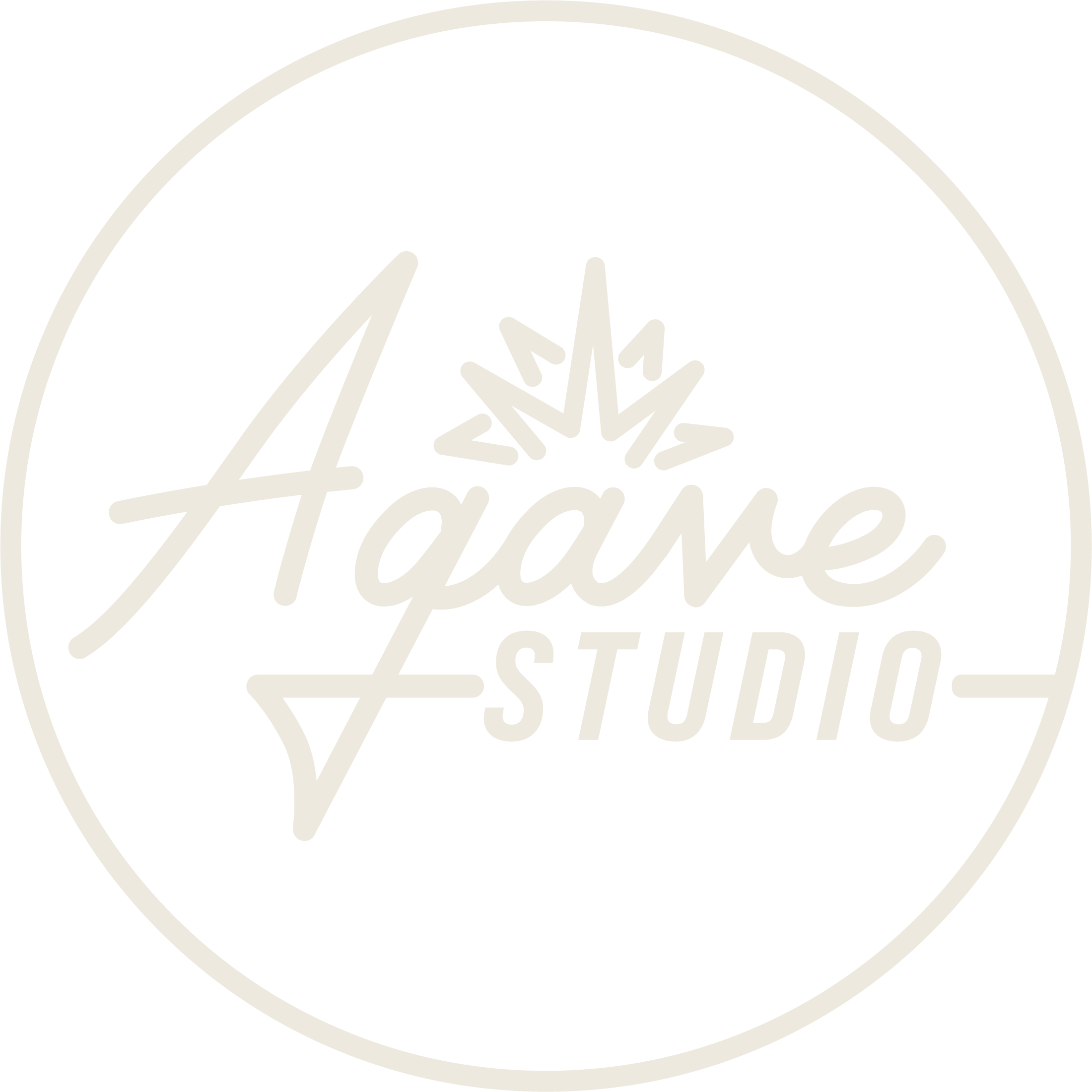 Agave Studio